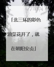 北三环的彩色油菜花开了，就在朝阳安贞
