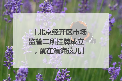 北京经开区市场监管二所挂牌成立，就在瀛海这儿