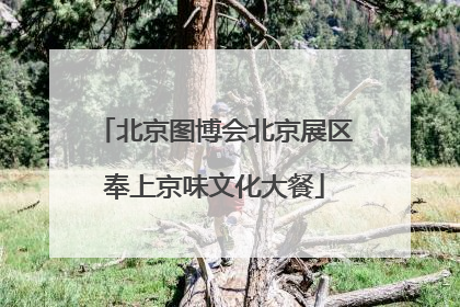 北京图博会北京展区奉上京味文化大餐