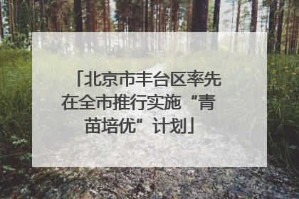 北京市丰台区率先在全市推行实施“青苗培优”计划