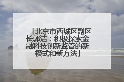北京市西城区副区长郭洁：积极探索金融科技创新监管的新模式和新方法