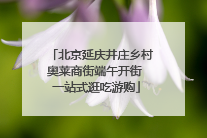 北京延庆井庄乡村奥莱商街端午开街 一站式逛吃游购
