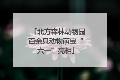 北方森林动物园百余只动物萌宝“六一”亮相
