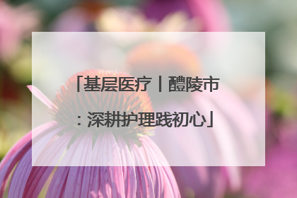 基层医疗丨醴陵市：深耕护理践初心