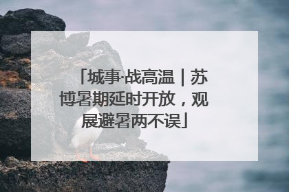 城事·战高温｜苏博暑期延时开放，观展避暑两不误