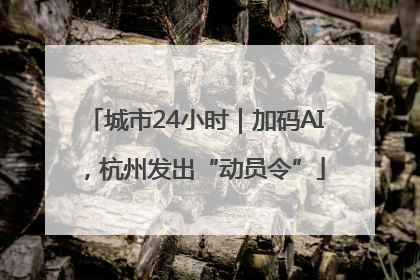 城市24小时｜加码AI，杭州发出“动员令”