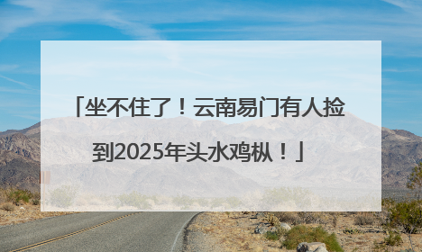 坐不住了！云南易门有人捡到2025年头水鸡枞！