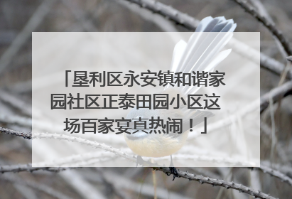 垦利区永安镇和谐家园社区正泰田园小区这场百家宴真热闹！