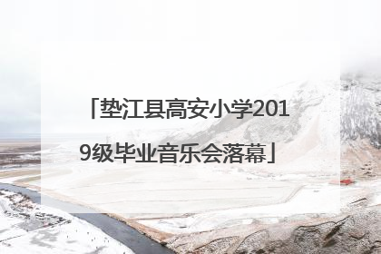 垫江县高安小学2019级毕业音乐会落幕
