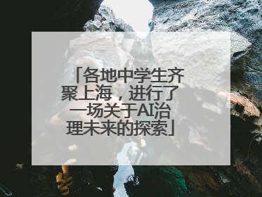 各地中学生齐聚上海，进行了一场关于AI治理未来的探索