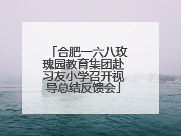 合肥一六八玫瑰园教育集团赴习友小学召开视导总结反馈会