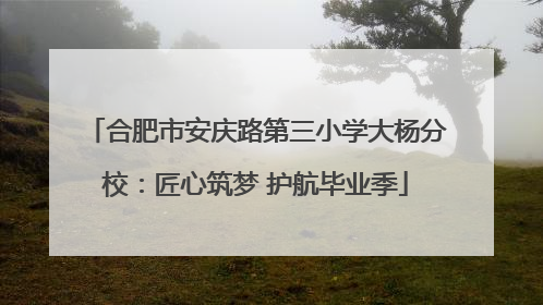 合肥市安庆路第三小学大杨分校：匠心筑梦 护航毕业季