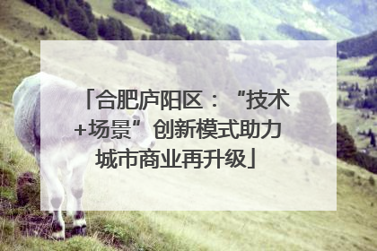合肥庐阳区：“技术+场景”创新模式助力城市商业再升级