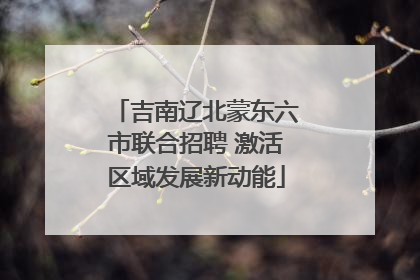 吉南辽北蒙东六市联合招聘 激活区域发展新动能