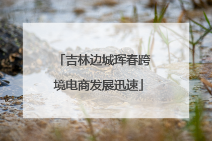 吉林边城珲春跨境电商发展迅速