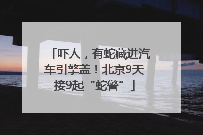 吓人，有蛇藏进汽车引擎盖！北京9天接9起“蛇警”