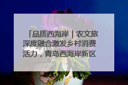品质西海岸｜农文旅深度融合激发乡村消费活力，青岛西海岸新区的乡村振兴实践