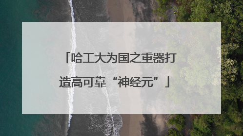 哈工大为国之重器打造高可靠“神经元”