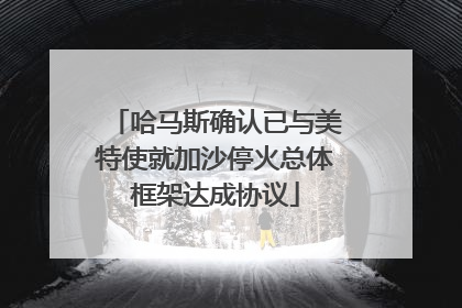 哈马斯确认已与美特使就加沙停火总体框架达成协议