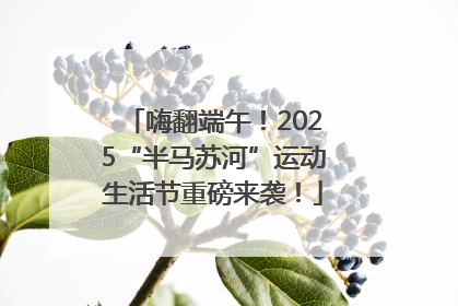 嗨翻端午！2025“半马苏河”运动生活节重磅来袭！