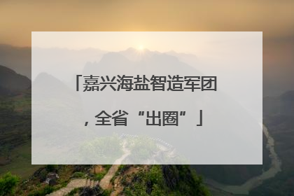 嘉兴海盐智造军团，全省“出圈”