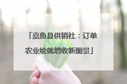 嘉鱼县供销社：订单农业绘就增收新图景