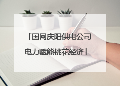 国网庆阳供电公司电力赋能桃花经济