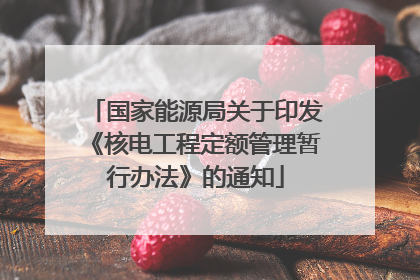 国家能源局关于印发《核电工程定额管理暂行办法》的通知