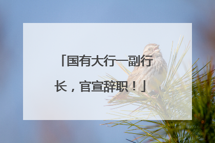 国有大行一副行长，官宣辞职！