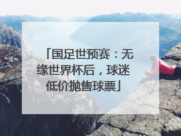 国足世预赛：无缘世界杯后，球迷低价抛售球票