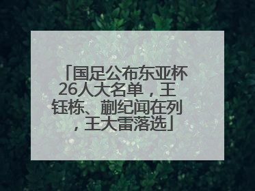 国足公布东亚杯26人大名单，王钰栋、蒯纪闻在列，王大雷落选