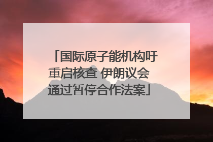 国际原子能机构吁重启核查 伊朗议会通过暂停合作法案