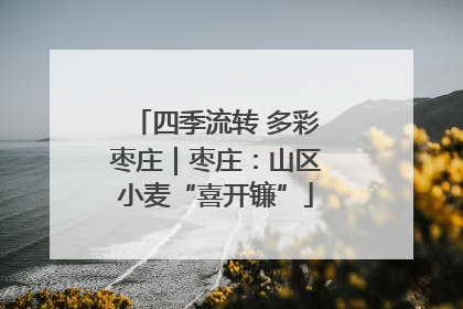 四季流转 多彩枣庄｜枣庄：山区小麦“喜开镰”