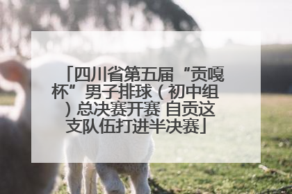 四川省第五届“贡嘎杯”男子排球（初中组）总决赛开赛 自贡这支队伍打进半决赛