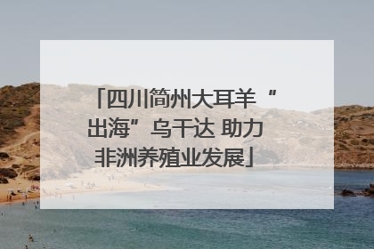 四川简州大耳羊“出海”乌干达 助力非洲养殖业发展