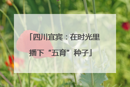 四川宜宾：在时光里播下“五育”种子