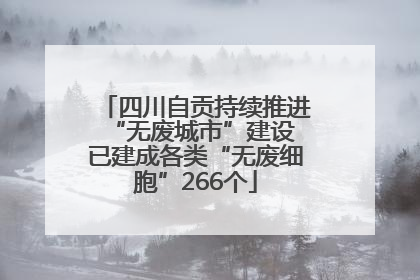 四川自贡持续推进“无废城市”建设 已建成各类“无废细胞”266个