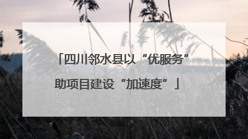 四川邻水县以“优服务”助项目建设“加速度”