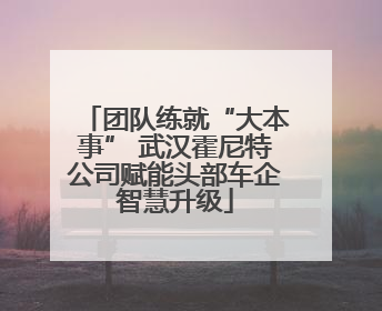 团队练就“大本事” 武汉霍尼特公司赋能头部车企智慧升级
