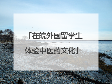 在皖外国留学生体验中医药文化