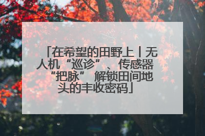 在希望的田野上丨无人机“巡诊”、传感器“把脉” 解锁田间地头的丰收密码