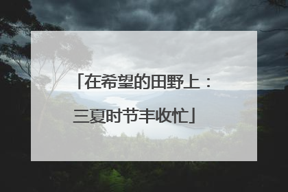 在希望的田野上：三夏时节丰收忙