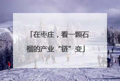 在枣庄，看一颗石榴的产业“链”变