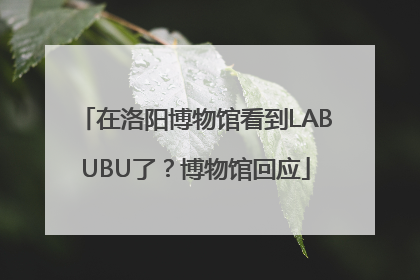 在洛阳博物馆看到LABUBU了？博物馆回应
