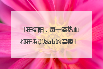 在衡阳，每一滴热血都在诉说城市的温柔