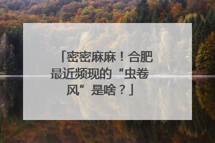密密麻麻！合肥最近频现的“虫卷风”是啥？