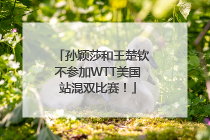 孙颖莎和王楚钦不参加WTT美国站混双比赛！