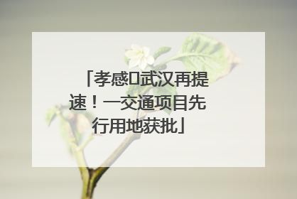 孝感⇋武汉再提速！一交通项目先行用地获批