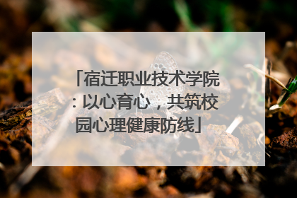 宿迁职业技术学院：以心育心，共筑校园心理健康防线