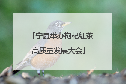 宁夏举办枸杞红茶高质量发展大会